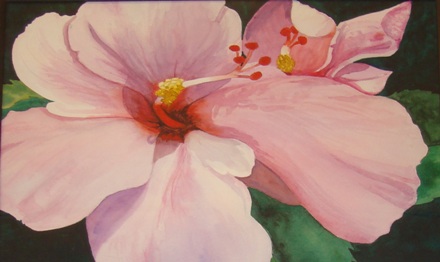 Brenda Marwitz - Hibiscus.jpg