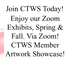 ctws.ze.gif